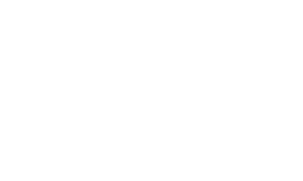 Field of Talent client USA Gymnastics